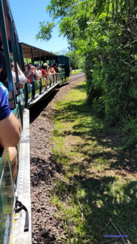 Argentyna_Iguazu2024-11-24_071