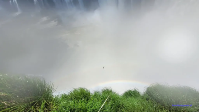 Argentyna_Iguazu2024-11-24_141