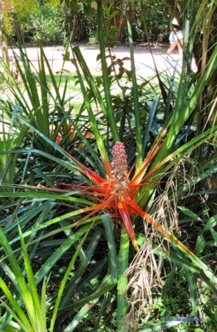 Argentyna_Iguazu2024-11-24_221