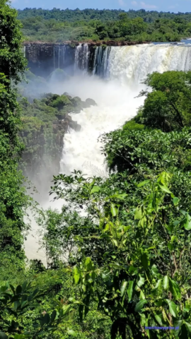 Argentyna_Iguazu2024-11-24_242