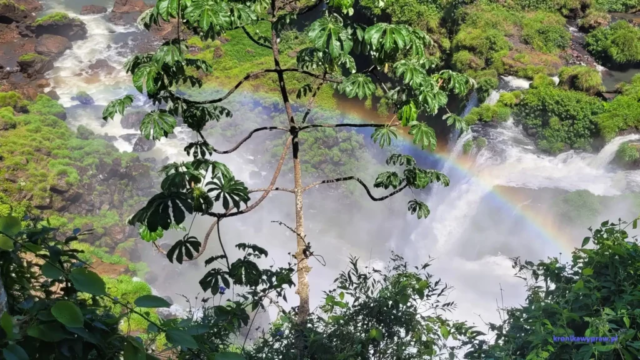 Argentyna_Iguazu2024-11-24_289