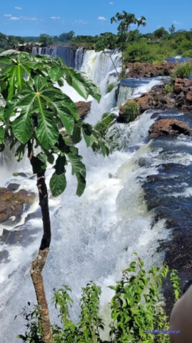 Argentyna_Iguazu2024-11-24_319