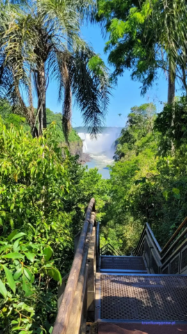 Argentyna_Iguazu2024-11-24_359