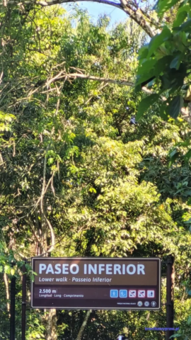 Argentyna_Iguazu2024-11-24_433