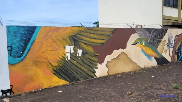 Brazylia2024-11-25_244