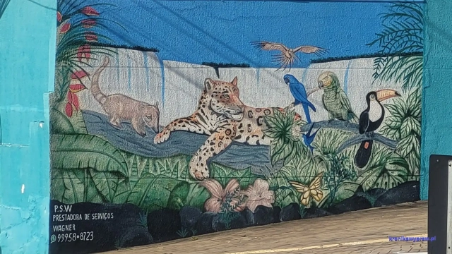 Brazylia2024-11-26_297