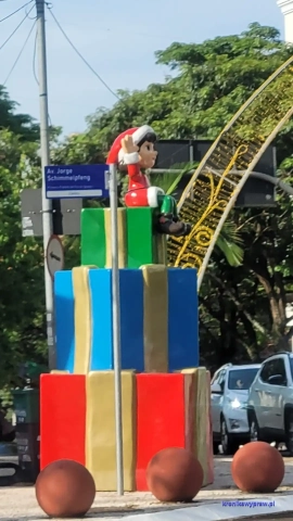 Brazylia2024-11-26_300