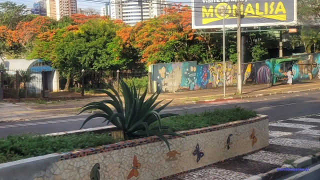 Brazylia2024-11-26_306