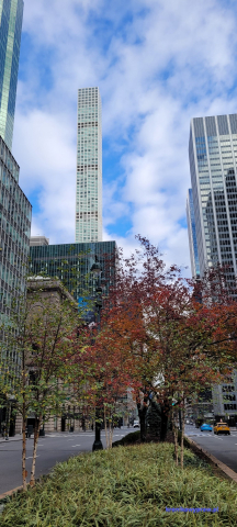 NowyJork2024-11-29_037