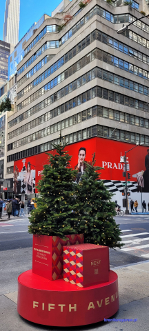 NowyJork2024-11-29_069