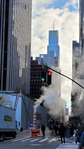 NowyJork2024-11-29_097