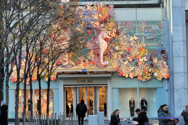 NowyJork2024-11-29_099