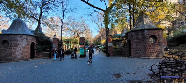 NowyJork2024-11-29_109