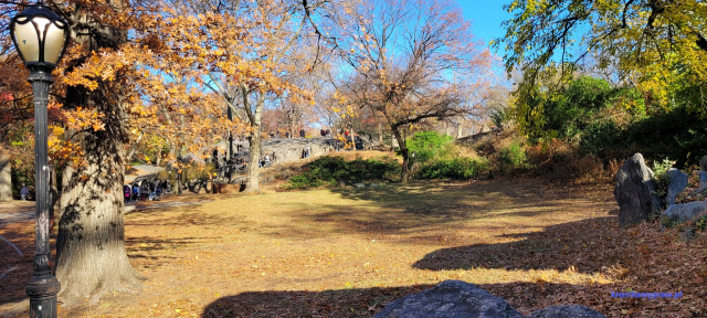 NowyJork2024-11-29_114