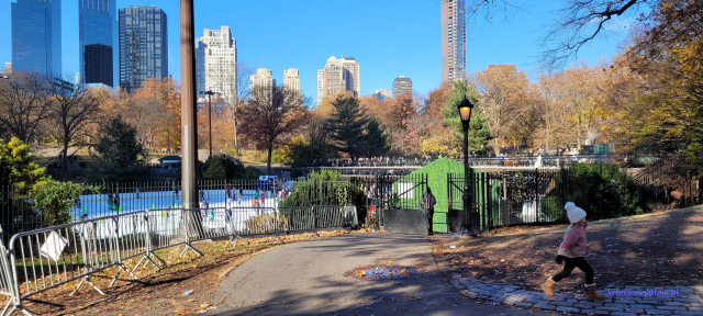 NowyJork2024-11-29_115