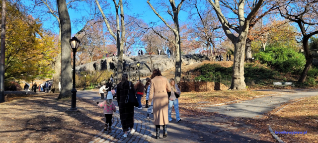 NowyJork2024-11-29_116