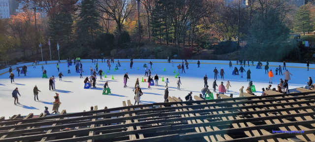 NowyJork2024-11-29_117