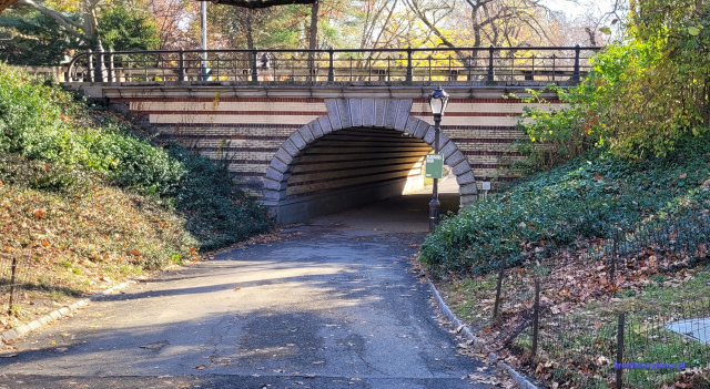 NowyJork2024-11-29_141