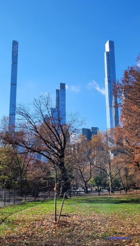 NowyJork2024-11-29_142