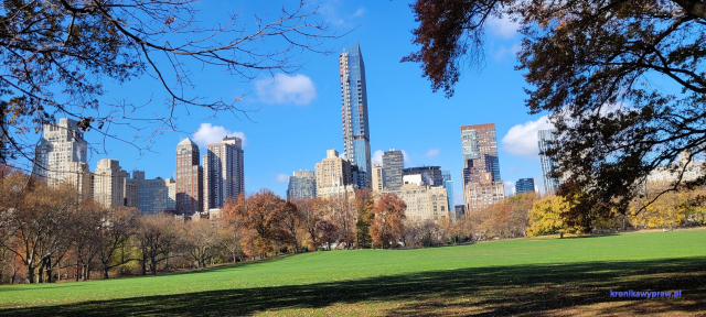 NowyJork2024-11-29_143