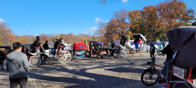 NowyJork2024-11-29_146