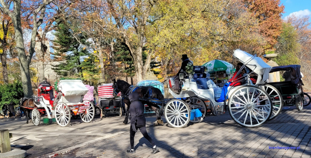 NowyJork2024-11-29_148