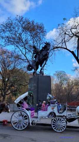 NowyJork2024-11-29_156