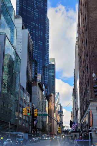 NowyJork2024-11-29_160