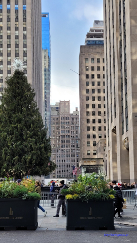 NowyJork2024-11-29_172