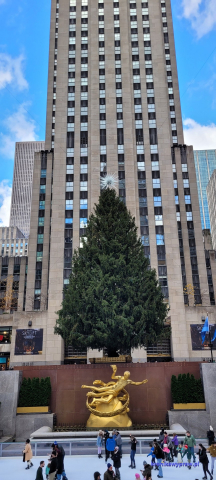 NowyJork2024-11-29_180