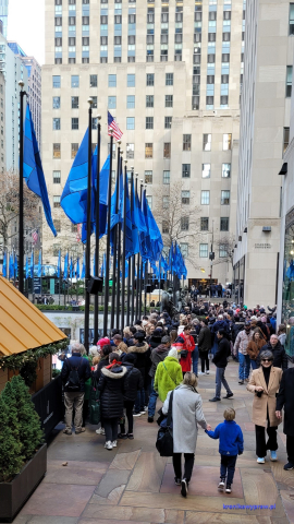 NowyJork2024-11-29_186