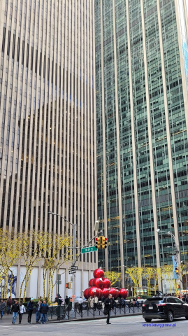 NowyJork2024-11-29_196