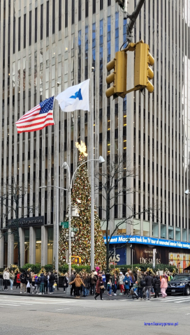 NowyJork2024-11-29_198