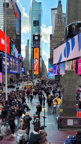 NowyJork2024-11-29_244