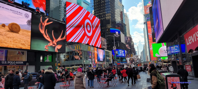 NowyJork2024-11-29_254