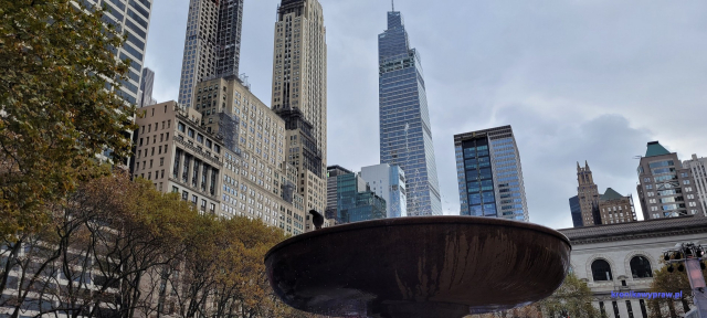 NowyJork2024-11-29_271