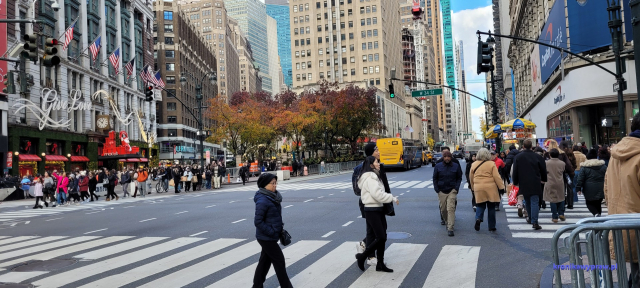 NowyJork2024-11-29_299