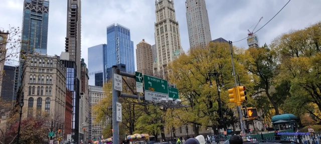 NowyJork2024-11-29_303