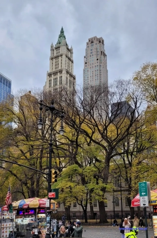 NowyJork2024-11-29_305