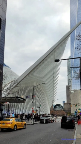 NowyJork2024-11-29_335