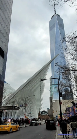 NowyJork2024-11-29_336