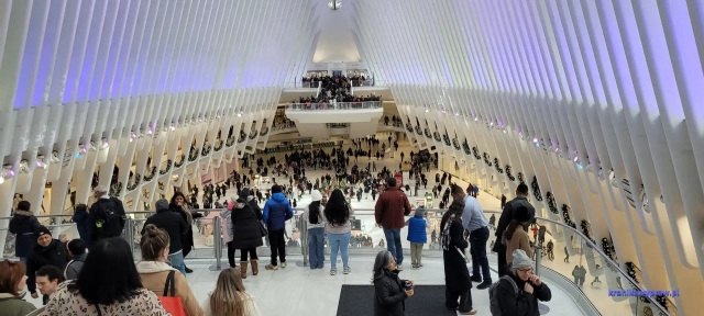 NowyJork2024-11-29_341