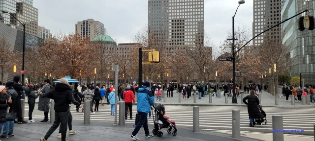 NowyJork2024-11-29_343