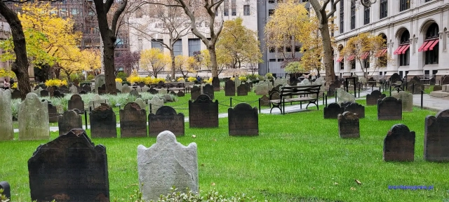 NowyJork2024-11-29_378