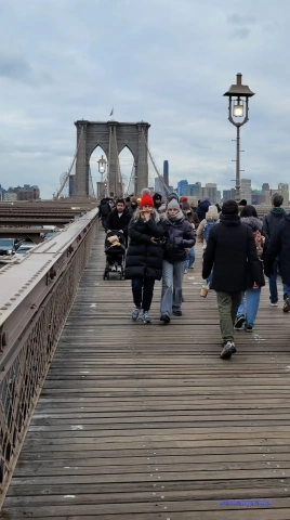 NowyJork2024-11-29_401