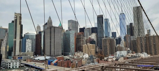 NowyJork2024-11-29_406