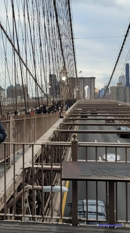 NowyJork2024-11-29_412