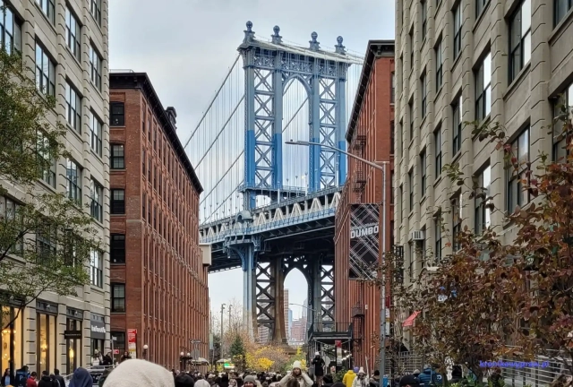 NowyJork2024-11-29_439