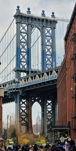 NowyJork2024-11-29_441